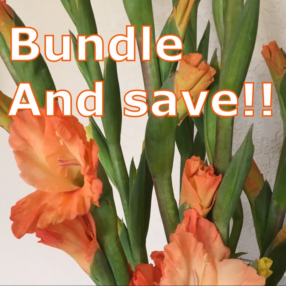 Bundle and save